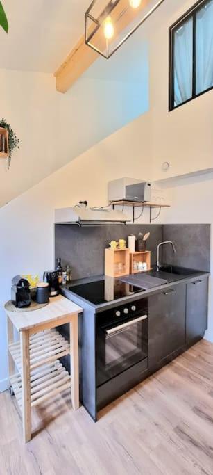 Le Duplex Catherine - Metro - Gare - Wifi Appartement Toulouse